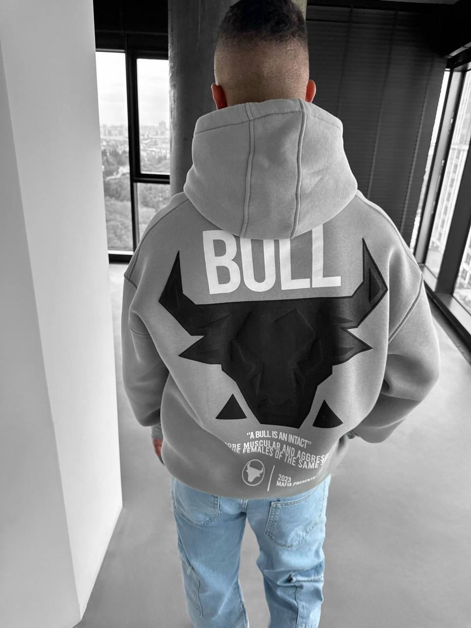 Bull Spirit Hoodie